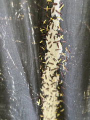 Tablecloth: Texture - 2.5m x 1.5