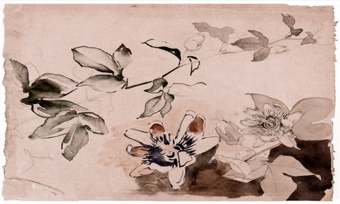 Tablecloth: Passionflower Blush - 2.5 x 1.5