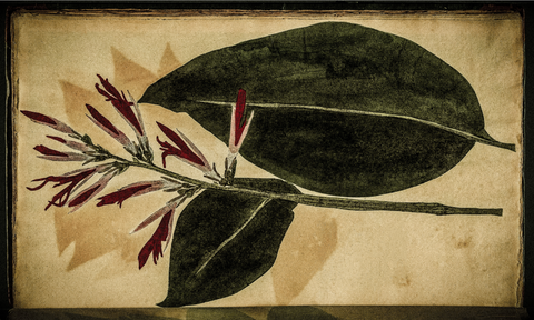 Tablecloth: Canna - 2.5m x 1.5