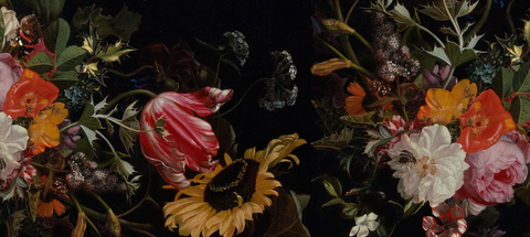 Tablecloth: Sunflower - 4m x 1.8